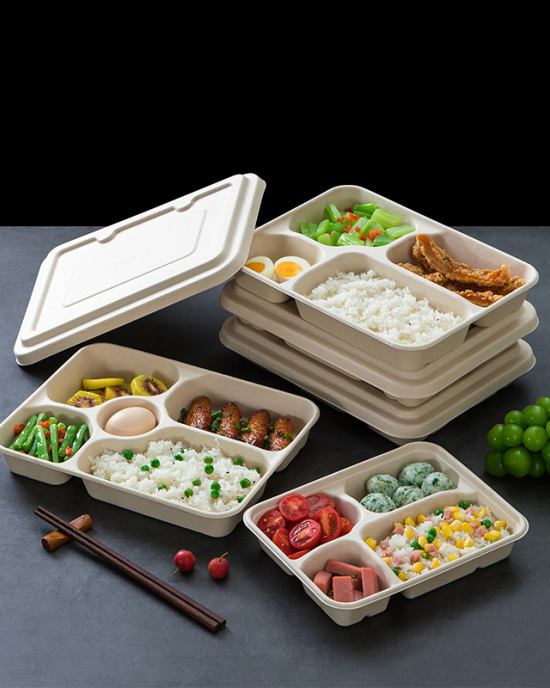 Lunch Box Biodegradable Box Disposable Rectangular American Single Double Grid Pulp Lunch Box Thickened Salad Takeaway