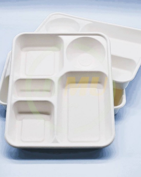 Top Quality And Good Price white disposable business 5 compartment lunch box eco-friendly container for party