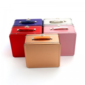 Kids Vintage Tin Retro Lunch Boxes with Handle Lock N-Lock School Metal Lunchboxes