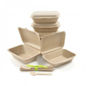 Wholesale biodegradable disposable clamshell box for take away take out sugarcane bagasse container food lunch box biodegradable