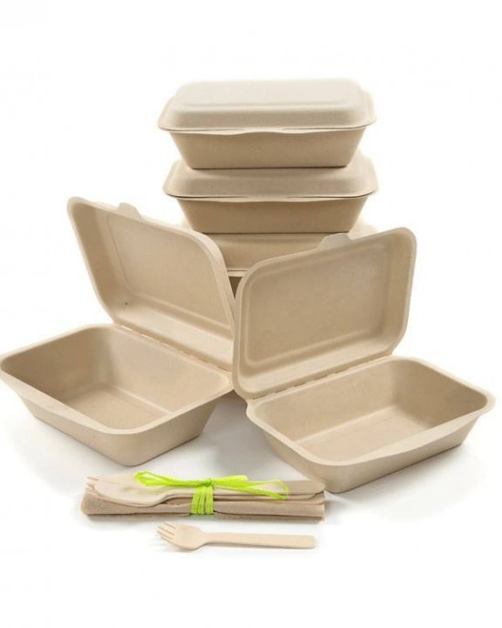 Wholesale biodegradable disposable clamshell box for take away take out sugarcane bagasse container food lunch box biodegradable