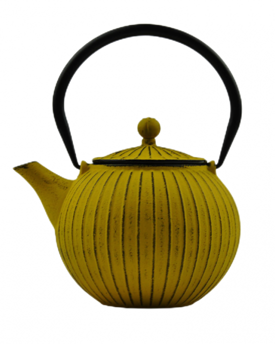 800ml Cast Iron Teapot With Stainless Steel Filter/HOBNAIL CAST IRON Kettle Jug Theiere Fonte